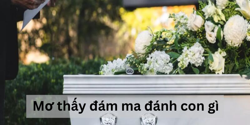 Những cặp số gắn liền với giấc mơ đám ma